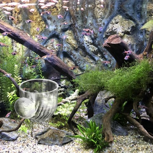 2Pcs Fish Tank Plant Holder Aquarium Plant Pot Suction Cup Planters | Water Plant Holder for Aquarium Suction Pot Clear Acrylic Aquatic Planter Aquarium Plants Cup for Fish Tank Decorations