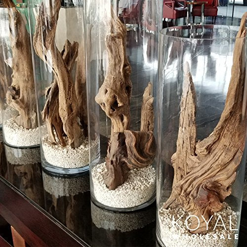 Koyal Wholesale 24" Driftwood Terrarium Decor, Clean California Manzanita Drift Wood Reptile Decor, Driftwood Decor for Home, Desert Reptile Supplies - size: 24 Inches