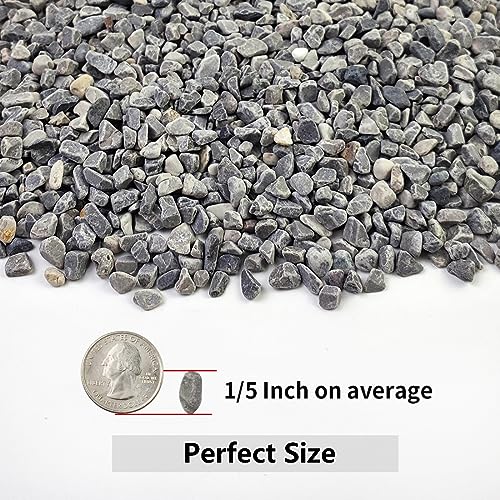 10LB Succulent and Cactus Gravel Pebbles, 1/5 Inch Stones Grey | Polished River Rocks for Plants, Vases, Aquariums, Terrarium and Outdoor Gardening - color: Grey, size: 10 Pounds