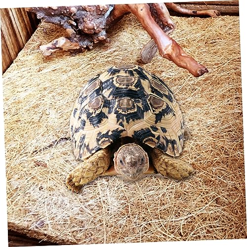 Abaodam 2Pcs Natural Coconut Fiber Reptile Mat Breathable Bedding Liner for Tortoise and Reptile Pet Boxes Odorless Performance