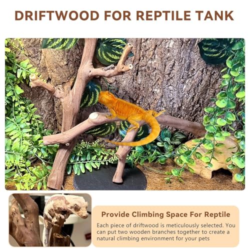 BNOSDM 2PCS Reptile Wood Branches Decor,Lizard Habitat Natural Wood Decoration,Snake Climbing Branch Accessories,Terrarium Tree Trunk Ornament for Bearded Dragon Gecko Frog Chameleon Spider - color: 2Pcs 12in Reptile Wood Branches