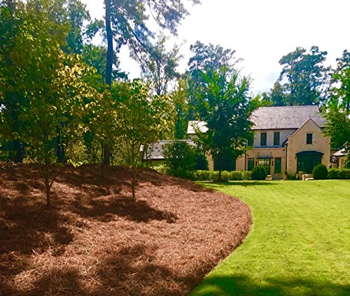 USA Pine Straw | Premium Pine Needle Mulch - 210 Sqft. (1) - size: Pine Needle Mulch - 210 Sqft 1 set