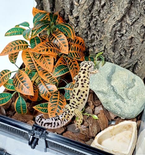 Woyrise Reptile Plants for Terrarium Decor, Ball Python Tank Accessories fit Bearded Dragon Crested Leopard Gecko Lizard Chameleon Snake Frog Tortoise Hermit Crab - Fake Codiaeum Variegatum - color: G-fake Codiaeum Variegatum