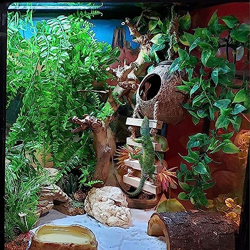 6PCS Crested Gecko Coconut Hut, Lizard Coco Den with Ladder and Reptile Hammock Bearded Dragon Tank Accessories Climbing Hanging Plants Jungle Vine Flexible Reptile Leaves Decor - style: 【Style B】