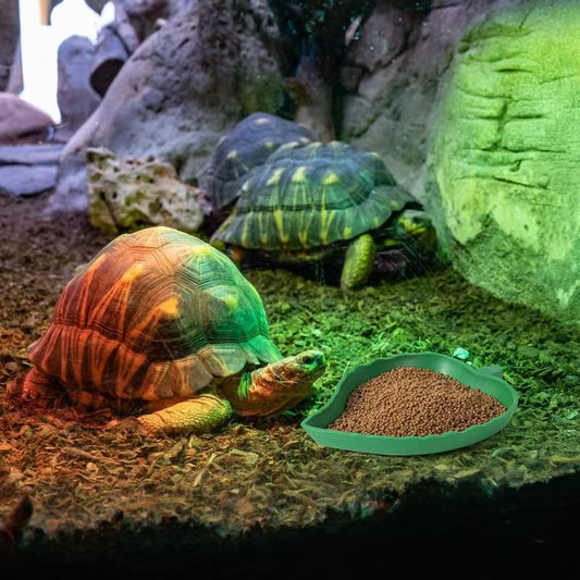 4Pack Terrarium Bowls Turtle Feeding Dishes Shallow and Flat Reptile Food and Water Feeder for Tortoise,Bearded Dragon,Lizards,Gecko,Cute Leaf and Mango Shaped