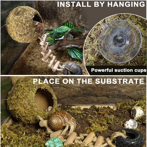 Hermit Crab Moss Coconut Shell Hideout with Climb Ladder,Leopard Gecko Hide Hut with Moss and Sea Shells,Hermit Crab Climbing Tank Accessories for Crested Gecko,Reptiles