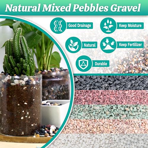 AVALUTION Aquarium Gravel for Plants -7lb Fish Tank Gravel for Succulent Cactus & Bonsai, 1/4Inch Decorative River Rocks Pebbles for Gardening, Flower Pots, Landscaping, Terrarium - color: Mix Gravel, size: 7LB