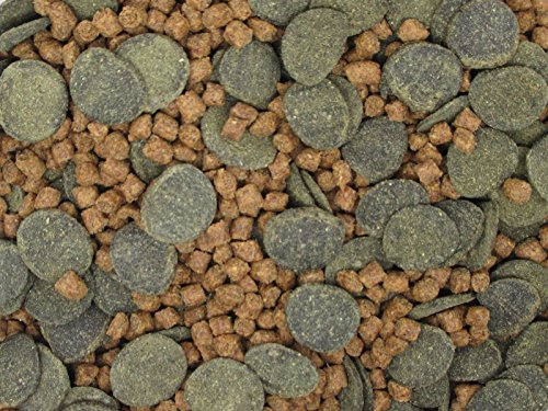 Micro Mix - Sinking Blended Diet for Snails, Shrimp & Bottom Feeding Fish (9 oz (255g)) - size: 9 Ounce (Pack of 1)