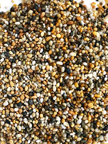 Aqua Natural Aquarium Substrate, Gold Pearl Gravel, 10lb | For Aquariums, For Terrariums, For Vivariums - size: 10lb