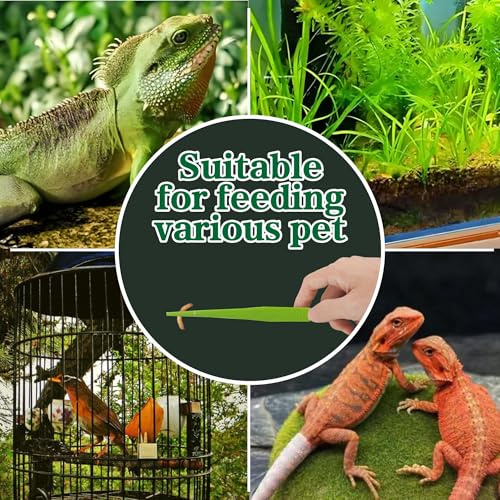 4-Pack Reptile Feeding Tongs Set - Hygienic Anti-Slip Green Tweezers for Bearded Dragons, Lizards, Snakes, Aquariums & Small Animals(Five Colors to Choose from) - color: Green