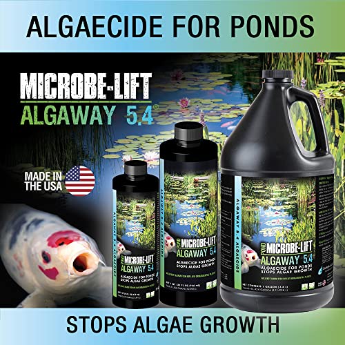 MICROBE-LIFT ALGA16 Algaway 5.4 Algae Control Treatment for Ponds and Water Gardens, Safe for Koi Fish, Goldfish, Plants, and Decorations, 16 Ounces - size: 16 Ounces
