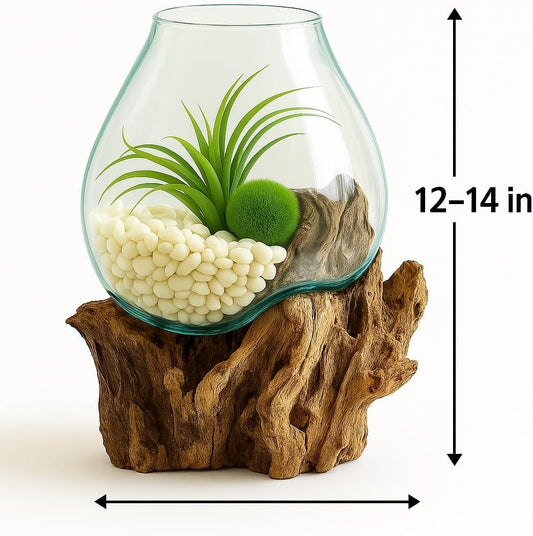 OMA Hand Blown Molten Glass on Driftwood Terrarium Vase or Planter – Recycled Glass & Natural Wood for Coastal & Boho Home Décor (12"–14" High) - size: 12" - 14" High