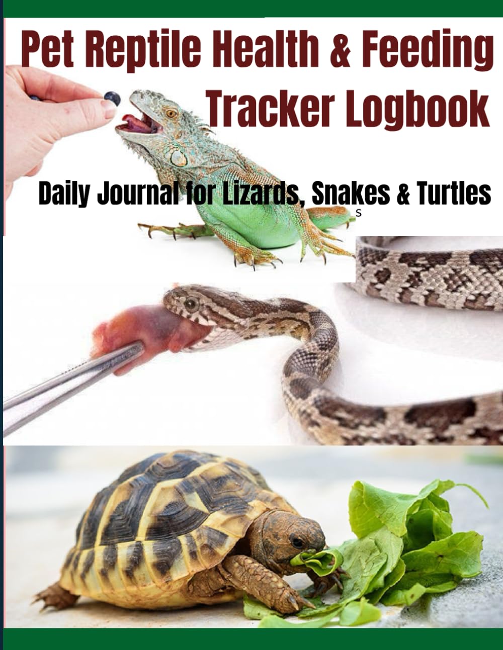 Pet Reptile Health & Feeding Tracker Logbook | Daily Journal for Pet Lizards, Snakes & Turtles: Track Feeding, Temperature, Shedding, and Health Notes ... Book for Reptile Pet Owners and Breeders