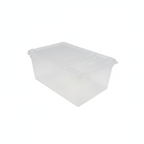 Small Plastic Terrarium Container, Clear PP Habitat Box for Reptiles & Amphibians, 6.7 x 4.1 x 2.8 Inches, White