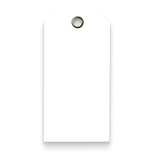 Tags 4 Less 15 Mil Waterproof Plastic Tags, Pack of 100 – 2” x 4” Heavy Duty Plastic Tags for Labeling, Outdoor Tagging, Equipment Labeling, Luggage, Valves & More (White) - color: White, size: 2" x 4"