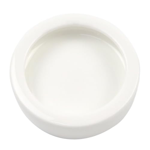 OMEM Worm Dish Mini Reptile Food Bowl Ceramics Made Mealworms Bowls Anti-Escape for Lizard Gecko Leopard Bearded Dragon (S) - size: S