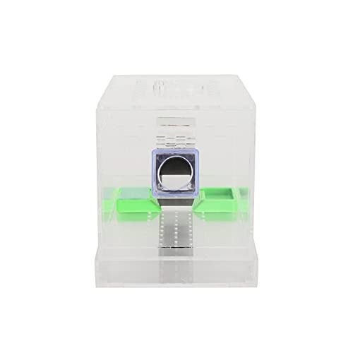 Transparent Acrylic Reptile Feeding Cricket, Cricket Care Kit Cricket Keeper with Tubes Cricket Keeper Tank Box(S)