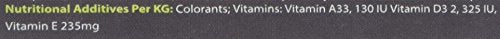 Komodo Complete Holistic Tortoise Diet, Dandelion, Tube,170 g