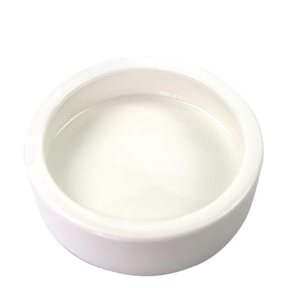 OMEM Worm Dish Mini Reptile Food Bowl Ceramics Made Mealworms Bowls Anti-Escape for Lizard Gecko Leopard Bearded Dragon (L) - size: L