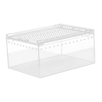 Reptile Breeding Box Terrarium breeding Box Acrylic Construction to Prevent Escapes Removable Basin for Quick Clean-up Suitable for, 20cmx15cmx10cm - size: 20cmx15cmx10cm