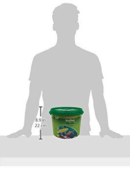 Tetra Pond Sticks Fish Food For Goldfish & Koi, 2.53 lbs | Healthy Daily Diet For All Pond Fish, Easy To Digest Floating Sticks Promote Clearer Water, Feed When Water Is +50 Degrees - size: 2.53 Pound (Pack of 1)