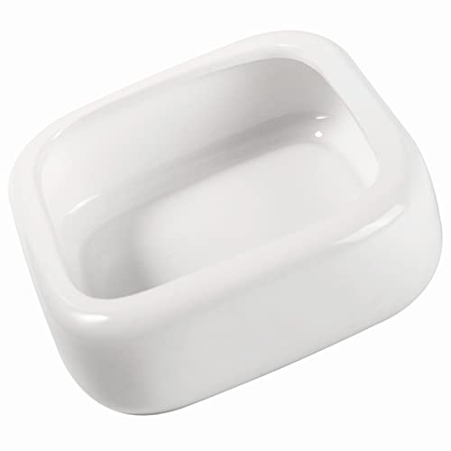 Ceramic Reptile Food Bowls, Reptile Water Food Dish (White, Medium-1Pack)
