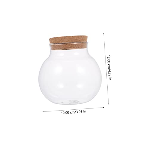 Abaodam Glass Terrarium for Plants Home Decoration Bottle Lid for Landscape Office Decor and Fish Keeping Container - size: 12X10X10CM