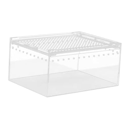 Reptile Breeding Box Terrarium breeding Box Acrylic Construction to Prevent Escapes Removable Basin for Quick Clean-up Suitable for, 20cmx15cmx10cm - size: 20cmx15cmx10cm