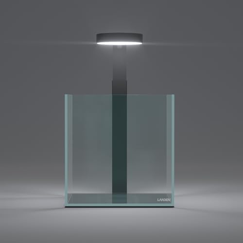 LED Desk Lamp with Magnetic Head – 3 Modes & USB Timer, Stepless Dimming, Full Spectrum Light for Terrariums, Plants, Bonsai, or Minimalist Ambient Lighting for Bedroom, Office, Workspace