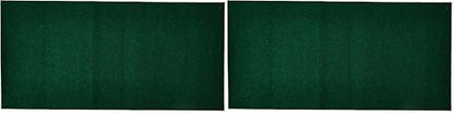 Zoo Med Eco Carpet for 15 Gallon Tanks (Pack of 2) - size: Pack of 2
