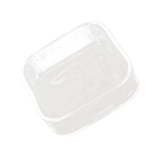 HEMOTON Lizard Feeder Bowl Transparent Glass Pet Feeding Container for Reptiles and Animals for Tortoises Snails and Item Storage Easy to