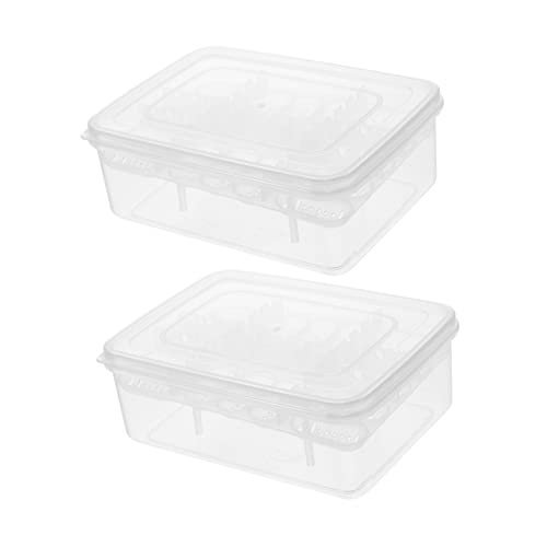 ORFOFE 2pcs Reptile Egg Incubator for Hatching Gecko and Lizard Eggs Hatchery Box for Reptile Breeding