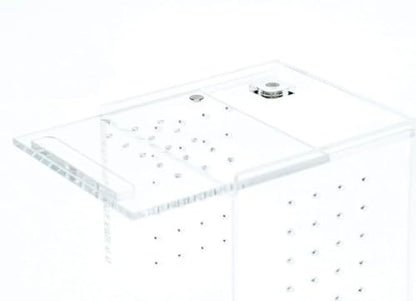 Acrylic Terrarium – Magnetic Mini & Nano Enclosures for Reptiles, Amphibians, Invertebrates, Tarantulas, Scorpions, Frogs, Geckos & Exotic Pets (3 x 3 x 6 inches, 0.23 Gallon) - size: 3 x 3 x 6 inches, 0.23 gallon