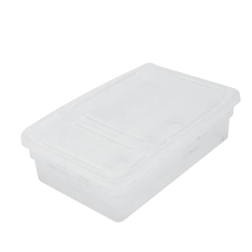 YARNOW 20Grids Plastic Reptile Hatching Incubation Box Lightweight Compact Hatchery Container for Lizard Reptile Breeding Safe Visible Design for Easy Monitoring of Egg Development