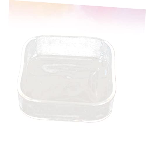 HEMOTON Lizard Feeder Bowl Transparent Glass Pet Feeding Container for Reptiles and Animals for Tortoises Snails and Item Storage Easy to