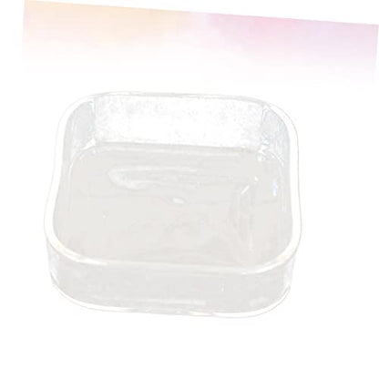 HEMOTON Lizard Feeder Bowl Transparent Glass Pet Feeding Container for Reptiles and Animals for Tortoises Snails and Item Storage Easy to