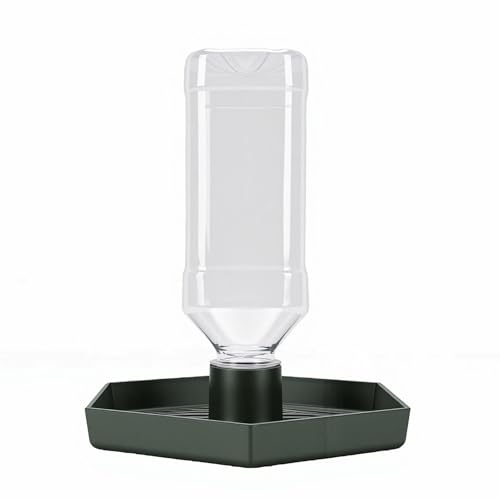 GLOGLOW Food and Water Bowl for Lizard Chameleon (Dark Green) - color: Dark Green