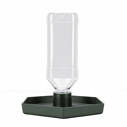 GLOGLOW Food and Water Bowl for Lizard Chameleon (Dark Green) - color: Dark Green