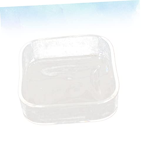 HEMOTON Lizard Feeder Bowl Transparent Glass Pet Feeding Container for Reptiles and Animals for Tortoises Snails and Item Storage Easy to