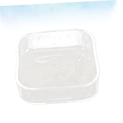 HEMOTON Lizard Feeder Bowl Transparent Glass Pet Feeding Container for Reptiles and Animals for Tortoises Snails and Item Storage Easy to