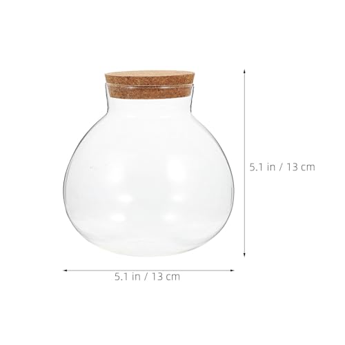 Glass Terrarium Jar with Cork Lid for Micro Landscape Plants, 13cm Round Ecosystem Bottle Suitable for Succulent, Moss, and Desk Display