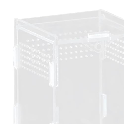 Reptile Breeding Box Acrylic Terrarium Habitat Container for Turtles Snakes Chameleons Geckos Feeding Hatching Case Enclosure- 8x7x10cm