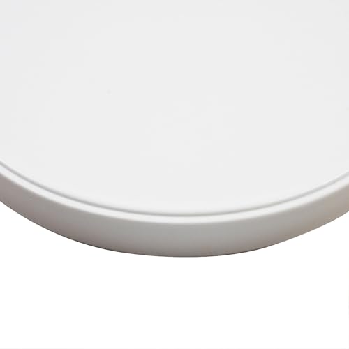 Reptile Food Bowl OMEM Water Dish,Feeding Dish, Birds Bowl (S, White) - color: White, size: S