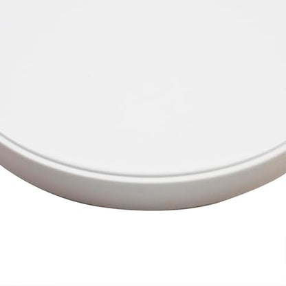 Reptile Food Bowl OMEM Water Dish,Feeding Dish, Birds Bowl (S, White) - color: White, size: S