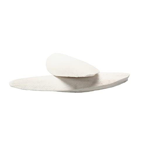 emours Natural Cuttlefish Bone for Reptiles, Tortoises, Tortoise, Snails, Birds and Small Animals (5.5-6 inch (Pack of 2)) - size: 5.5-6 Inch (Pack of 2)