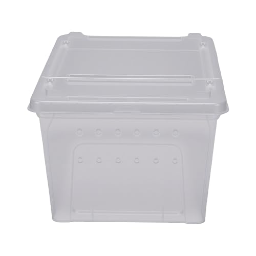 GLOGLOW 2PCS Reptile Feeding Box, PP Transparent Reptile Breeding Box for Bearded Dragon Lizard Snake Crawler Breeding Tools, Hatching Supplies (L)