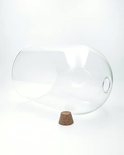 Handblown 12" Glass Terrarium with Opening for Air Flow & Cork Stopper Cloche Style Glass Dome Vivarium Display Case (Extra Large) - size: Extra Large