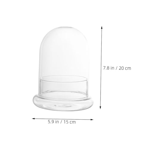POPETPOP Glass Ecosystem Bottle Air Plant Holder DIY Bell Jar Terrarium Kit Decorative Plant Pot Drainage