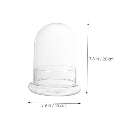 POPETPOP Glass Ecosystem Bottle Air Plant Holder DIY Bell Jar Terrarium Kit Decorative Plant Pot Drainage