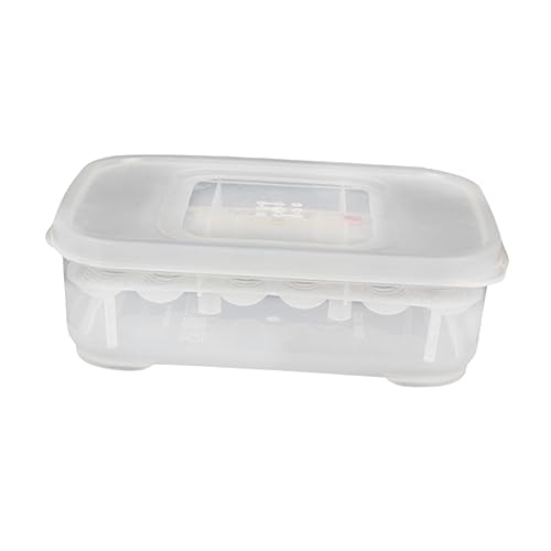 DOITOOL Transparent Breeding Isolation Box Incubator for Snakes and Lizards Hatching Box with Thermometer for Reptiles Holds Up to Eggs Easy to Clean and Observe